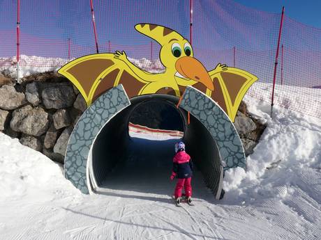 Familieskigebieden Traunstein – Gezinnen en kinderen Steinplatte Winklmoosalm – Waidring/Reit im Winkl