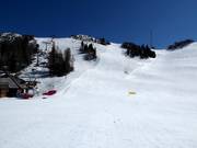 Piste Poligon Triglav-FIS