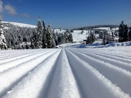 Pistepreparatie Lörrach – Pistepreparatie Feldberg – Seebuck/Grafenmatt/Fahl
