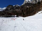 Skiweide Innerpflersch