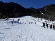 Oefenpiste bij de Streidlhang