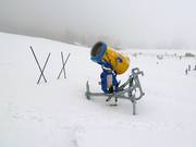 Sneeuwkanon bij de Steckenberg