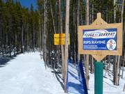 Kinderpiste Rip’s Ravine