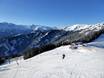 Salzachtal: Grootte van de skigebieden – Grootte Schmittenhöhe – Zell am See
