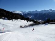 Möseralmafdaling (Fiss)