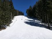 Zwarte piste Neklid Karásek II.