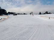 Buckelwiesen afdaling