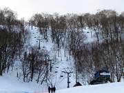 West Tiger Pair Lift - 2-persoons vaste stoeltjeslift