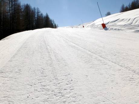 Skigebieden voor beginners in het arrondissement Nizza – Beginners Auron (Saint-Etienne-de-Tinée)