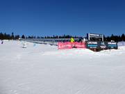 Tip voor de kleintjes 