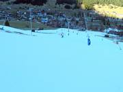 Sneeuwlansen in het dalgebied