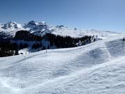 Vrij ski-terrein bij de Laucherenstöckli