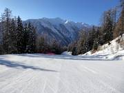 Dalafdaling Tarlenta