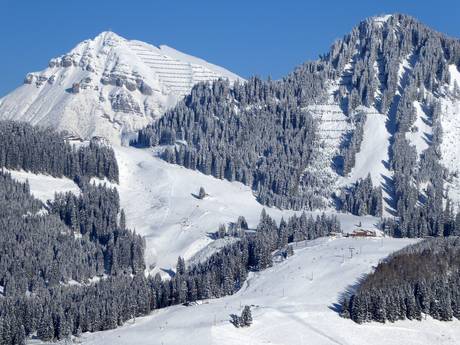Außerfern: Grootte van de skigebieden – Grootte Berwang/Bichlbach/Rinnen