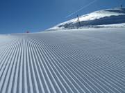 Ook in detail zeer mooi