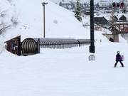 Mule Train - Overdekt(e) transportband/Moving Carpet