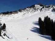 Brede piste op de Walmendingerhorn