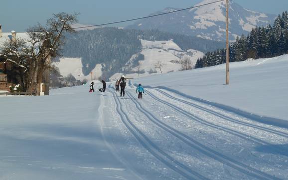 Langlaufen vakantieregio Alpbachtal – Langlaufen Ski Juwel Alpbachtal Wildschönau