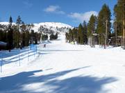 Lichte en brede familieafdaling