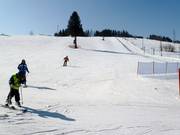 Gemakkelijke piste in Kaniówka