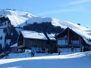 KRAFTalm in Itter op de berg