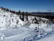 Vrij skigebied/diepsneeuw skiën