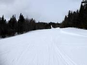Perfect geprepareerde piste op Mont-Sainte-Anne