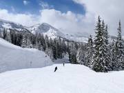 Piste bij de stoeltjeslift Crest 6