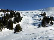 Sporen in de diepe sneeuw bij de Gamserrugg