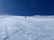 Extreem steil: Platter Splatter