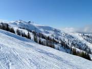 Uitgestrekt terrein bij de Kaiserburg