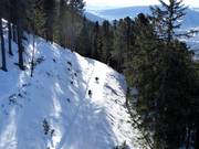 Tip voor de kleintjes 