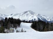 Pistes bij Brennerköpfl