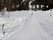 Ponylift Pontresina 1 - Sleeplift/babyllift