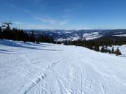 Gemakkelijke piste Nyseter