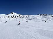 Makkelijke piste bij de Albeinaliften