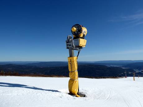 Sneeuwzekerheid Scandinavische Gebergte – Sneeuwzekerheid Norefjell