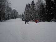 Al na korte tijd skiën de kleintjes al zelfstandig