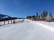Groot beginnersgebied in het ArBär-Kinderland