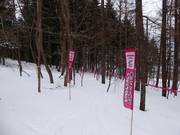 Tip voor de kleintjes 