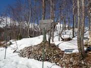 Pistebewegwijzering in het skigebied Vogel