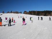 Hier leert Holland skiën: Herrloh