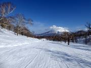 Gemakkelijke piste Silver Dream (Hanazono)