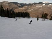 Pistes aan de Front Side naar Vail