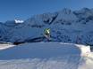 Snowparken Skirama Dolomiti – Snowpark Ponte di Legno/​Tonale/​Presena-gletsjer/​Temù (Pontedilegno-Tonale)