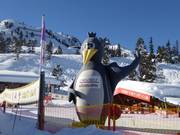 Tip voor de kleintjes  - Bobo's Kinderclub van Skischule Hochzillertal