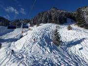 Diepe sneeuwhellingen bij de Milchhäuslexpress