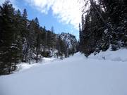 Dalafdaling naar Enzingerboden