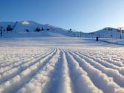 Zeer goede pistepreparatie op de Dollar Mountain