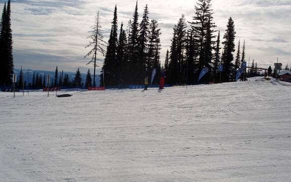 Skigebieden voor beginners in het regionaal district North Okanagan – Beginners Silver Star